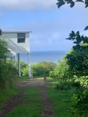 Ocean Bay Villa